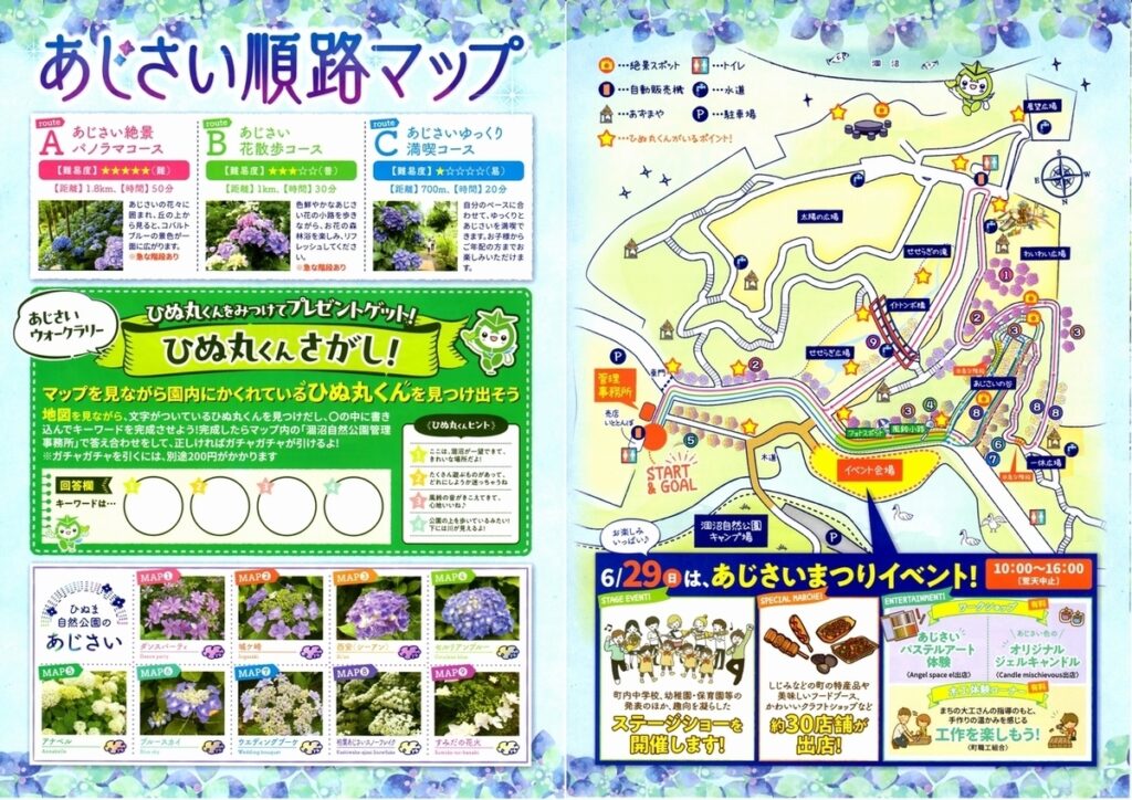 ひぬまあじさいまつり