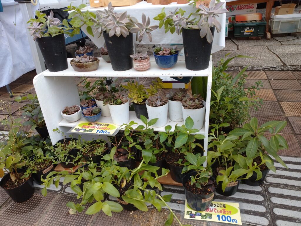 クラフトギャザリングin笠間工芸の丘