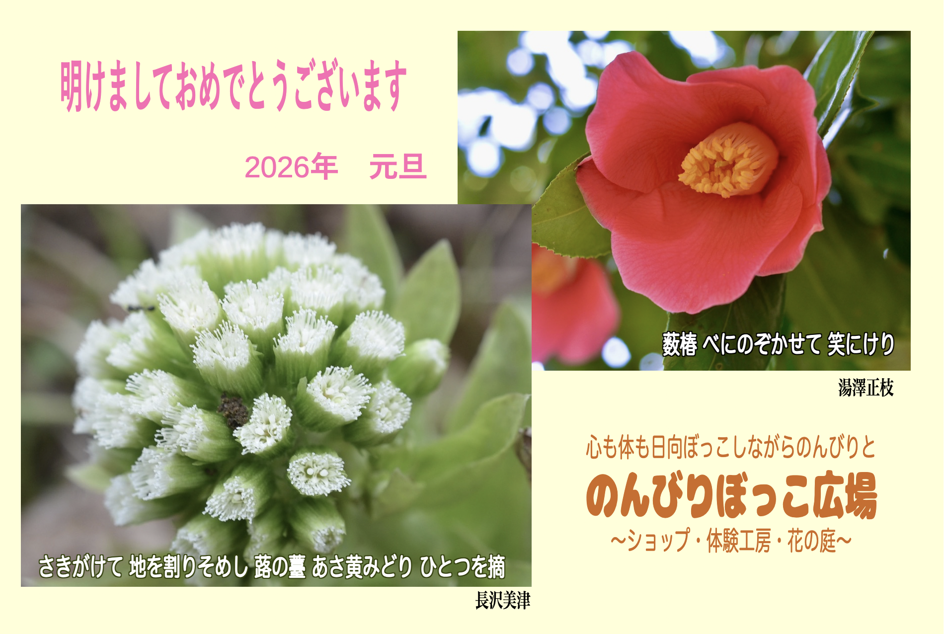 のんびりぼっこ広場：年賀