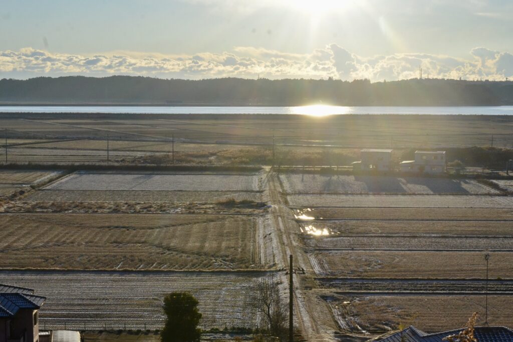 のんびりぼっこ広場：涸沼の初雪を望む