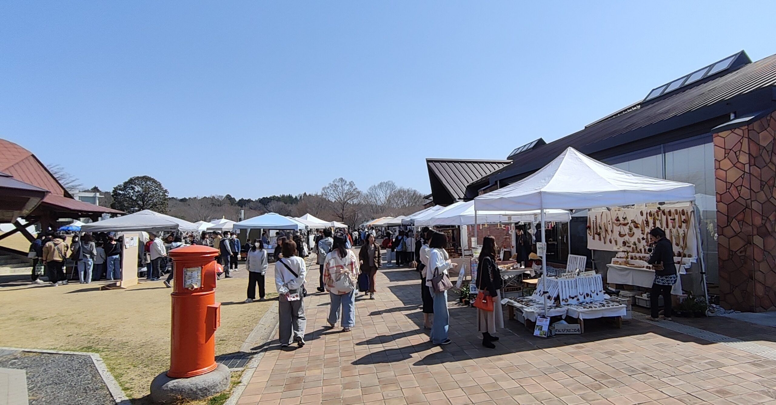 にゃんぱらin笠間工芸の丘