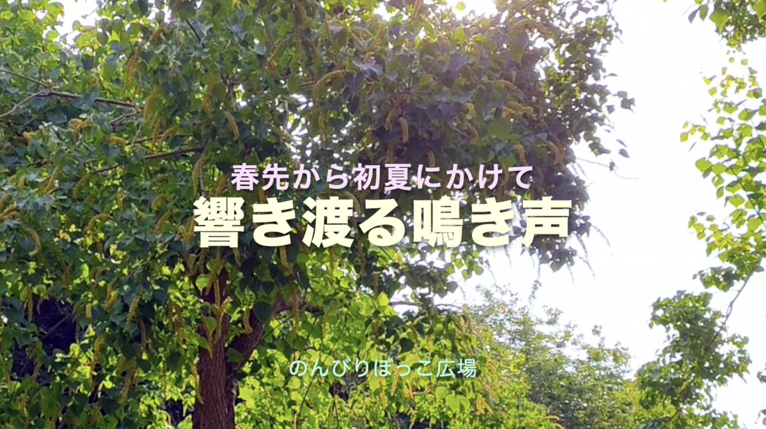 のんびりぼっこ広場